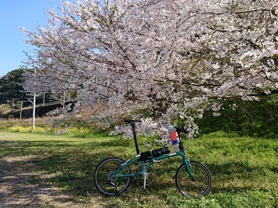 2019-04-04 15.47.23.jpg