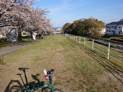 2019-04-04 16.16.55.jpg