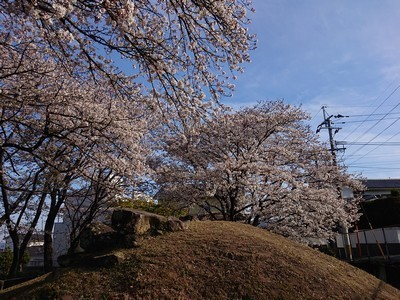 2019-04-04 16.29.28.jpg