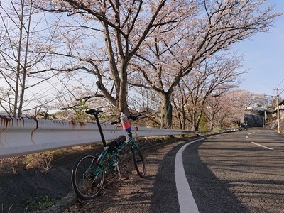 2019-04-04 16.55.29.jpg