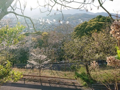 2019-04-04 16.57.38.jpg