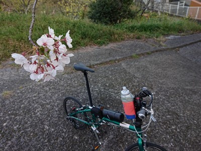 2019-04-04 17.08.25.jpg