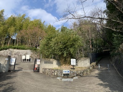 2020-02-08 13.46.48.jpg